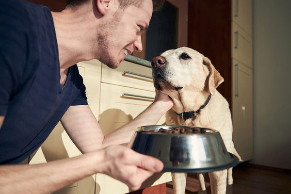 More Than a Bowl: What It Means to Nourish Their Aura