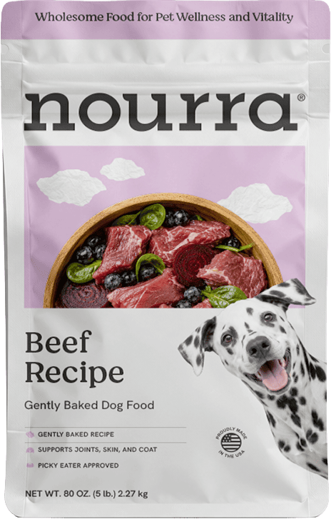 Beef Recipe