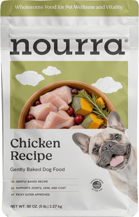 Chicken Recipe
