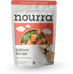 Salmon Recipe