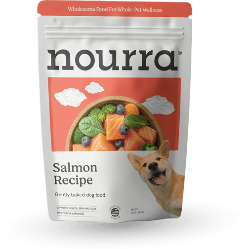 Salmon Recipe