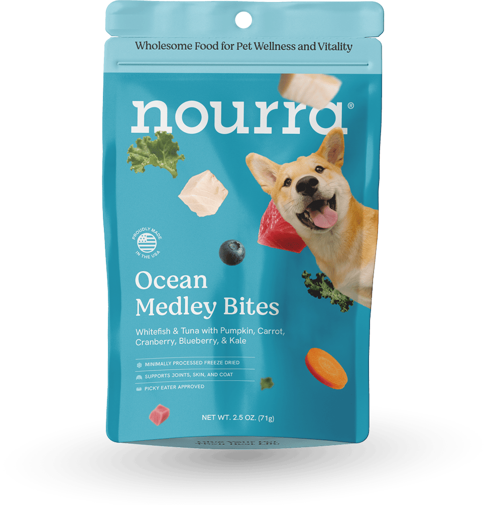 Ocean Medley Bites