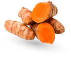 Salmon Recipe