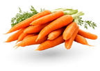 Salmon Recipe