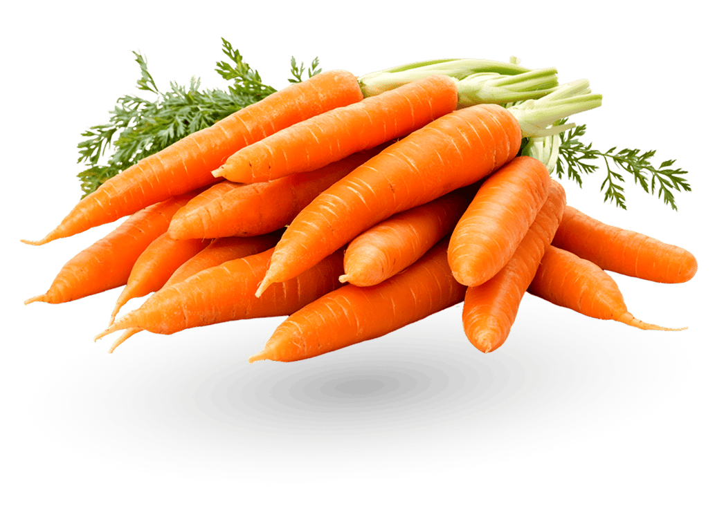 Salmon Recipe