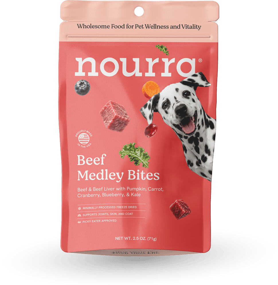 Beef Medley Bites